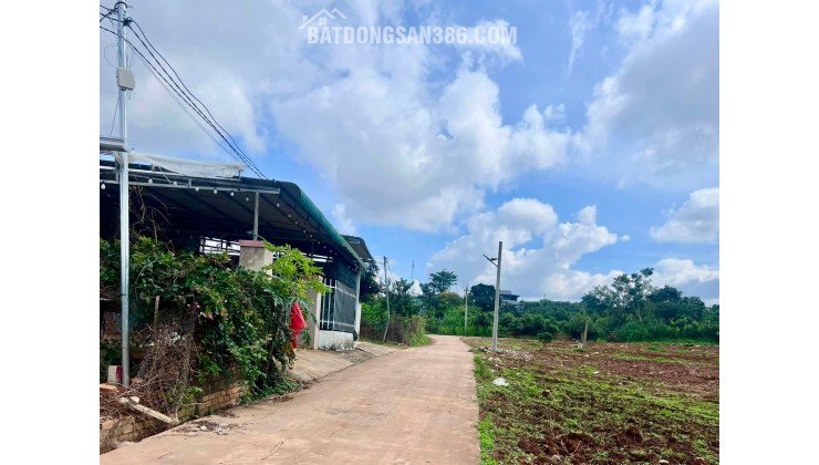 Bán Đất Ven Đà Lạt 466m² Thổ Cư 100m² – View Thoáng, Thế Đất Đẹp, Giá Chỉ 890 Triệu