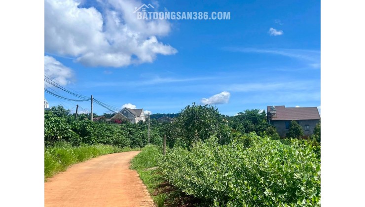 Bán Đất Ven Đà Lạt 872m² Thổ Cư 100m² – View Đồi Núi Đẹp, Giá Chỉ 2,9 Triệu/m²