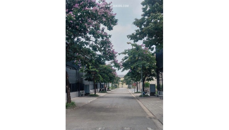 Bán Đất 250m2 Khu C - Khu đô thị Nguyên Khê - Đông Anh - Hà Nội. Giá 105tr/m2