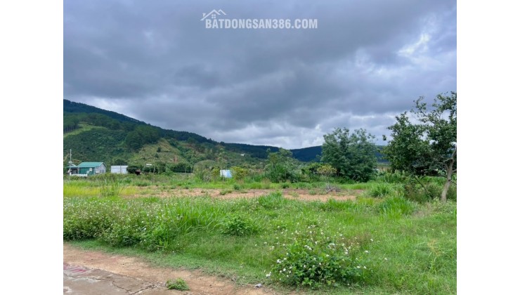 ĐẤT VEN ĐÀ LẠT NỞ HẬU – KHÔNG GIAN YÊN TĨNH PHÙ HỢP LÀM NHÀ VƯỜN NGHỈ DƯỠNG
