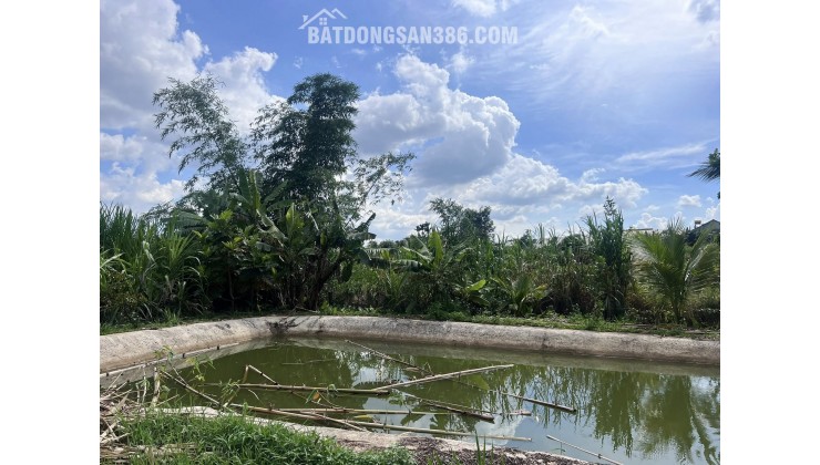NHÀ VƯỜN NGHỈ DƯỠNG GIỮA VƯỜN CÂY ĂN TRÁI – KHÔNG GIAN SỐNG XANH HIẾM GẶP VEN ĐÀ LẠT
