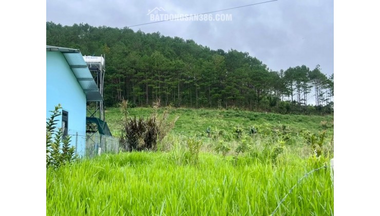 ĐẤT NAM BAN NGOẠI Ô ĐÀ LẠT – THỔ CƯ CAO – CẠNH ĐỒI THÔNG PHÙ HỢP NHÀ VƯỜN NGHỈ DƯỠNG