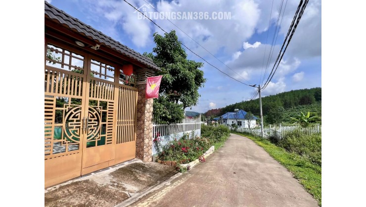QUỸ ĐẤT HIẾM GIỮA THÔNG XANH KHU BIỆT THỰ GIA LÂM – 501M² CHỈ 1,5 TỶ