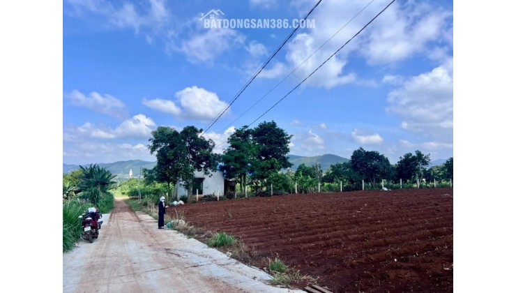 Bán Đất Nam Ban 502m² Thổ Cư 200m² – Sở Hữu View Toàn Cảnh Nam Ban, Đón Trọn Giá Trị Sống Ven Đà Lạt