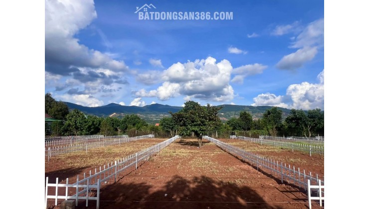 ĐẤT THỔ CƯ GẦN CHỢ THĂNG LONG – HẠ TẦNG HOÀN THIỆN – PHÙ HỢP XÂY NHÀ Ở LÂU DÀI
