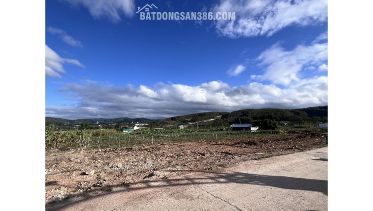 Bán Đất Nền An Sơn Villas 239m² Thổ Cư 150m² – Cơ Hội Đầu Tư Giá Tốt Tại Khu Nghỉ Dưỡng Ven Đà Lạt