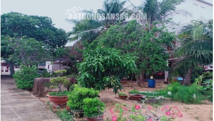 XUẤT CẢNH NƯỚC NGOÀI NÊN CẦN BÁN LÔ ĐẤT CÓ SẴN KHÁCH SẠN ĐƯỜNG NGUYỄN THÔNG - TP.PHAN THIẾT