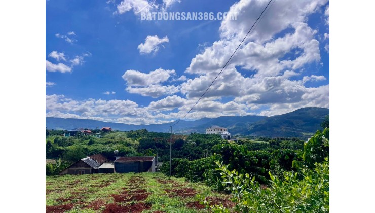 Bán Đất Ven Đà Lạt 872m² Thổ Cư 100m² – View Đồi Núi Đẹp, Giá Chỉ 2,9 Triệu/m²