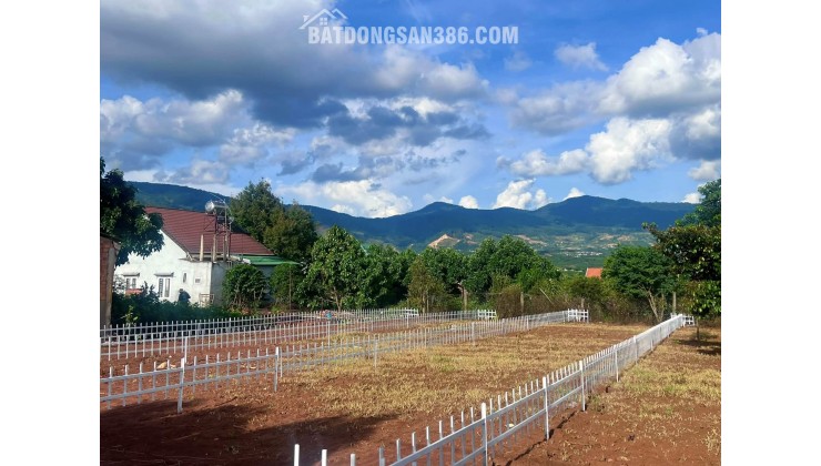ĐẤT THỔ CƯ GẦN CHỢ THĂNG LONG – HẠ TẦNG HOÀN THIỆN – PHÙ HỢP XÂY NHÀ Ở LÂU DÀI