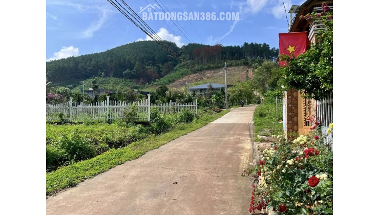 QUỸ ĐẤT HIẾM GIỮA THÔNG XANH KHU BIỆT THỰ GIA LÂM – 501M² CHỈ 1,5 TỶ