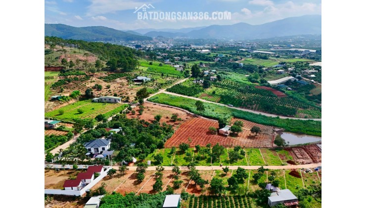 Bán Đất Ven Đà Lạt 322m² Ngang 12m – Thổ Cư 259m², Hạ Tầng Hoàn Thiện, Sẵn Sàng Xây Dựng