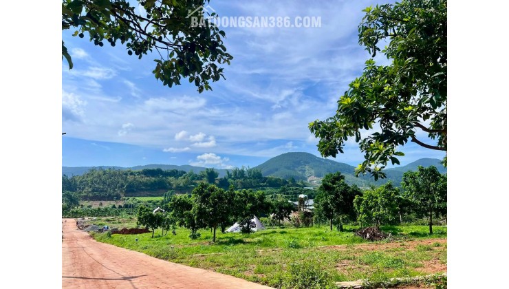 Bán Đất Ven Đà Lạt 322m² Ngang 12m – Thổ Cư 259m², Hạ Tầng Hoàn Thiện, Sẵn Sàng Xây Dựng