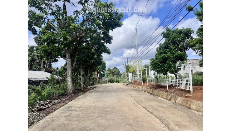 ĐẤT ĐÔNG THANH – VEN ĐÀ LẠT – MẶT TIỀN RỘNG 15M – HẠ TẦNG HOÀN THIỆN