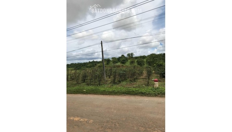 Bán đất 2 MT QL 28B Đức Trọng, Lâm Đồng, 10 x 50m, (200)m2 TC, giá 3,8 tỷ