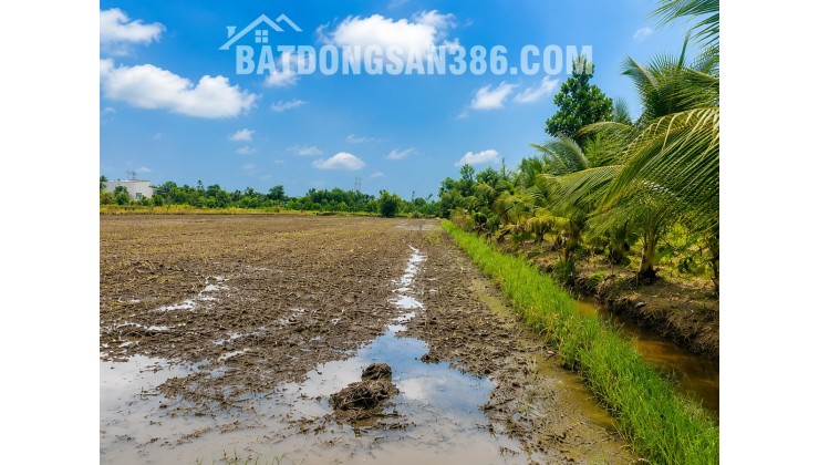 Bán đất chính chủ 300m² (10x30) full thổ cư tại Hựu Thạnh, gần Đại học Tân Tạo, KCN Tân Đức, xe hơi tới đất