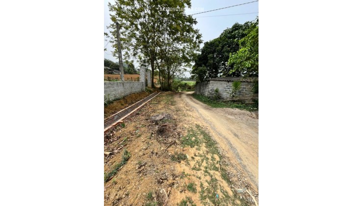 Nhanh tay sở hữu lô đất nghỉ dưỡng tại Kim Bôi Hòa Bình