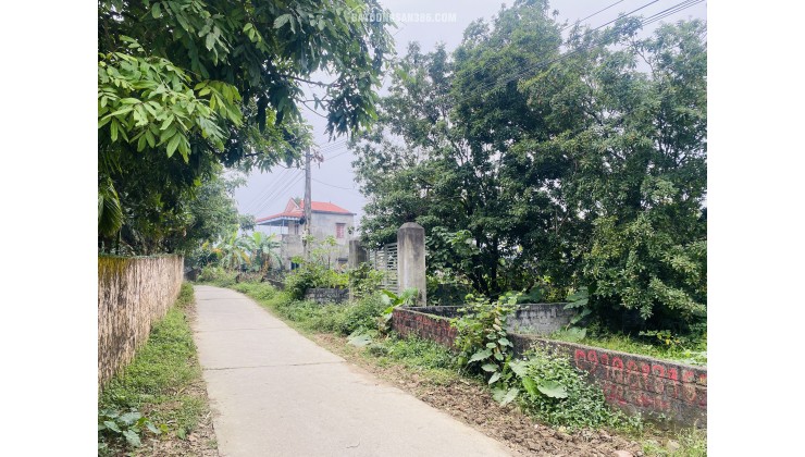  206m² (100m thổ cư) – SUỐI SẾU NHUẬN TRẠCH – GIÁ ĐẦU TƯ RẺ NHẤT KHU VỰC!