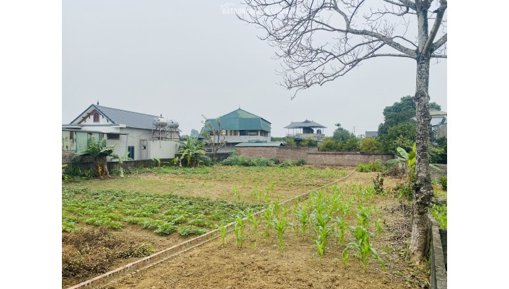  206m² (100m thổ cư) – SUỐI SẾU NHUẬN TRẠCH – GIÁ ĐẦU TƯ RẺ NHẤT KHU VỰC!