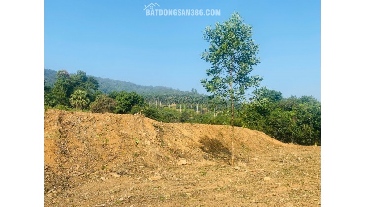 SIÊU PHẨM 1.900M² – VIEW PANORAMA HỒ ĐIỀU HÒA – BÁM SUỐI – HOÀ SƠN