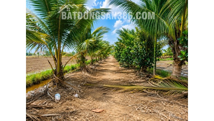 Bán đất chính chủ 300m² (10x30) full thổ cư tại Hựu Thạnh, gần Đại học Tân Tạo, KCN Tân Đức, xe hơi tới đất