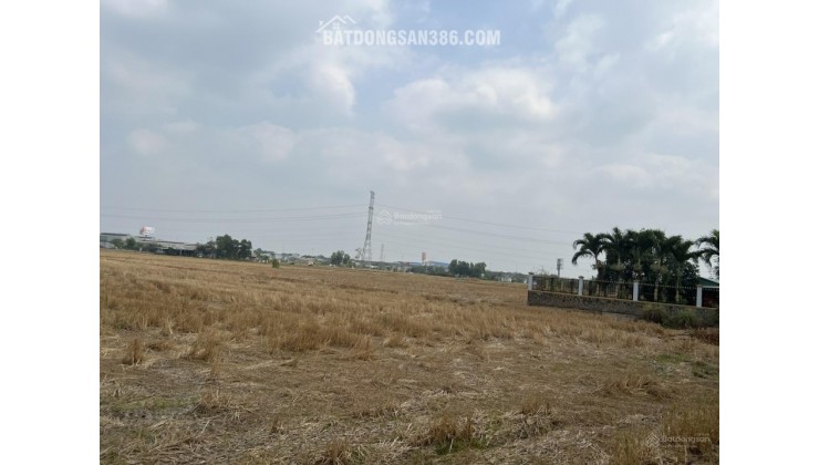 Bán đất Tân Bửu, Bến Lức, Long An 20.335m2 giá 3,5tr/m cách đường Nguyễn Hữu Trí 300m
