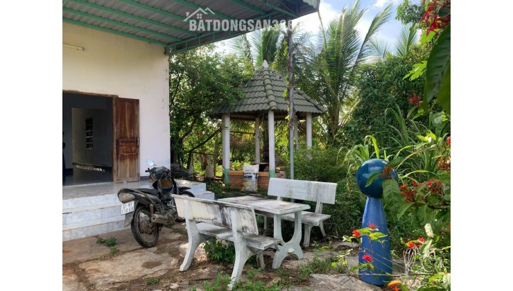 HOT HOT – Chính Chủ Bán ĐẤT CÓ  900 Trụ Thanh Long Tặng Kèm Căn Nhà Tại Dân Bình, Hàm Kiệm, Lâm Đồng