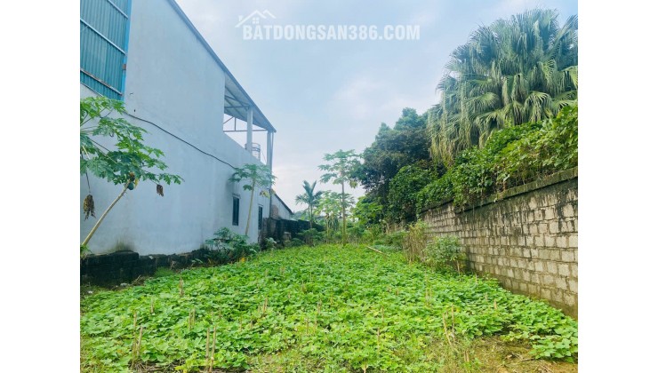 Cần bán nhanh lô đất đẹp DT: 400m trong đó có 200m a thổ cư đường trước đất rộng 8m