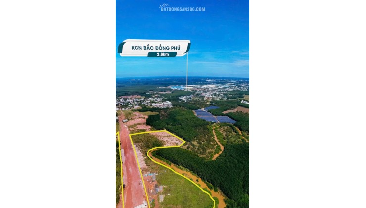 BÁN ĐẤT TÂN LỢI ĐỒNG PHÚ - FULL THỔ CƯ - SHR - GIÁ CHỈ 350TR/LÔ. LH:0363082064.