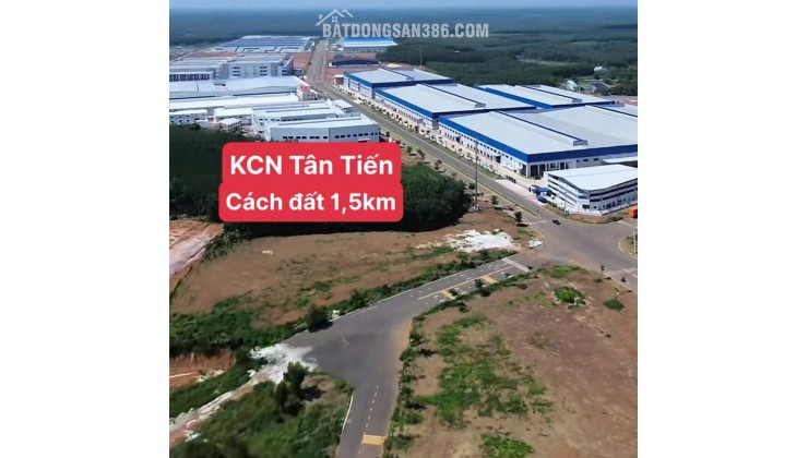 BÁN ĐẤT TÂN LỢI ĐỒNG PHÚ - FULL THỔ CƯ - SHR - GIÁ CHỈ 350TR/LÔ. LH:0363082064.