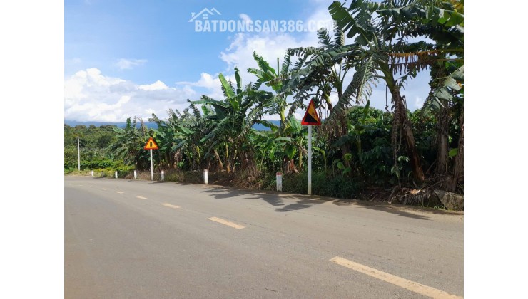 Bán gấp 3771m2 đất thổ cư tại Tân Lạc, Hòa Nam, Di Linh, Lâm Đồng. Sổ hồng riêng, giá chỉ 2.8 tỷ. LH: 0772760987