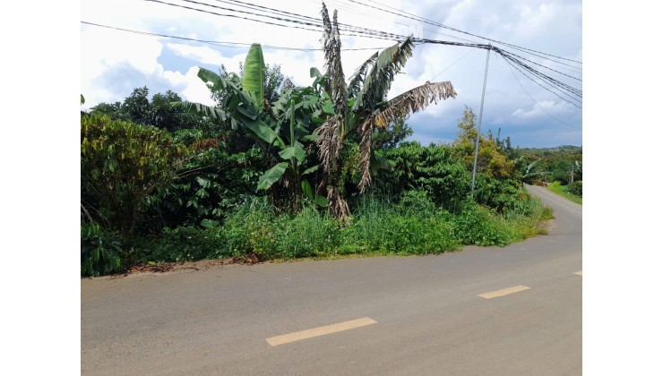 Bán gấp 3771m2 đất thổ cư tại Tân Lạc, Hòa Nam, Di Linh, Lâm Đồng. Sổ hồng riêng, giá chỉ 2.8 tỷ. LH: 0772760987