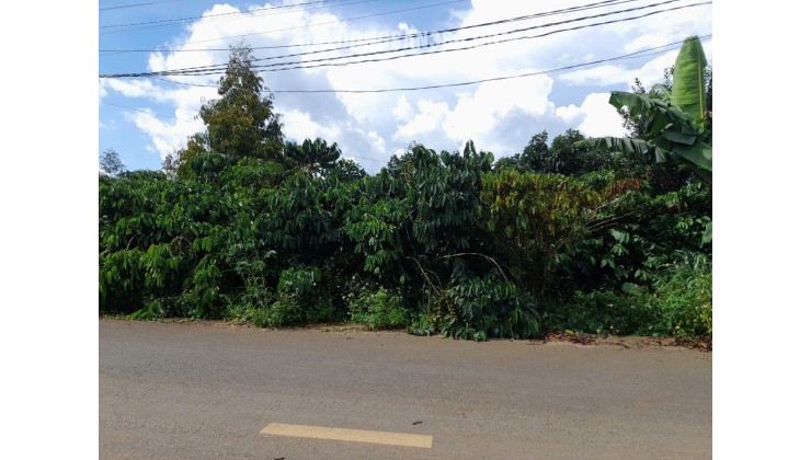 Bán gấp 3771m2 đất thổ cư tại Tân Lạc, Hòa Nam, Di Linh, Lâm Đồng. Sổ hồng riêng, giá chỉ 2.8 tỷ. LH: 0772760987