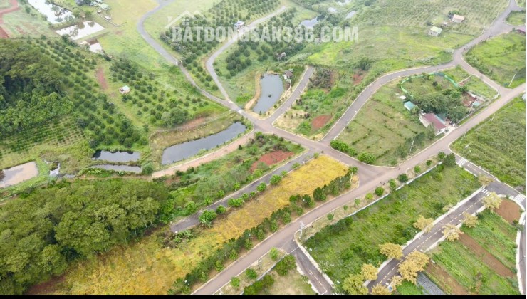 BÁN ĐẤT NÊN BIỆT THỰ NGHĨ DƯỠNG SUỐI THÔNG GARDEN - CHỈ 1.350 TỈ