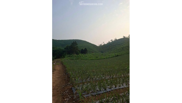 ĐẤT ĐẸP- GIÁ ƯU ĐÃI CHÍNH CHỦ CẦN TIỀN BÁN NHANH LÔ ĐẤT TẠI huyện Thạch Thành tỉnh Thanh Hóa