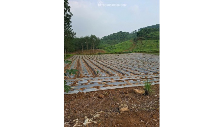 ĐẤT ĐẸP- GIÁ ƯU ĐÃI CHÍNH CHỦ CẦN TIỀN BÁN NHANH LÔ ĐẤT TẠI huyện Thạch Thành tỉnh Thanh Hóa