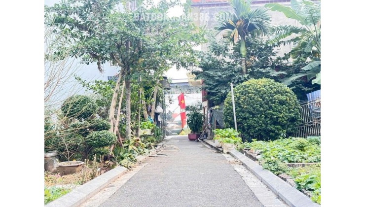 80M2 ĐẤT MAI LÂM( ĐÔNG ANH) - 5.2 TỶ