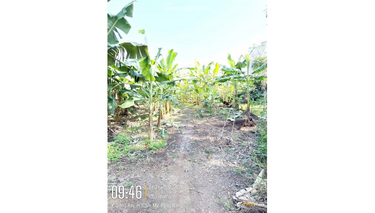 VỊ TRÍ ĐẸP - ĐẦU TƯ SINH LỜI - Chính Chủ Cần Bán Lô Đất Xã Sông Ray, Cẩm Mỹ, Đồng Nai