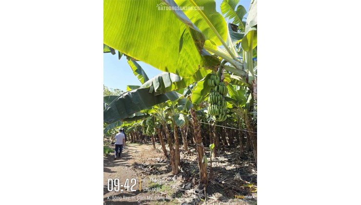 VỊ TRÍ ĐẸP - ĐẦU TƯ SINH LỜI - Chính Chủ Cần Bán Lô Đất Xã Sông Ray, Cẩm Mỹ, Đồng Nai