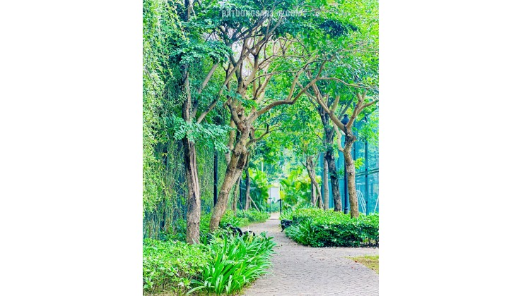  LIỀN KỀ CEOHOMES HANA GARDEN – KHÔNG GIAN SỐNG ĐA NĂNG, KHAI THÁC LINH HOẠT