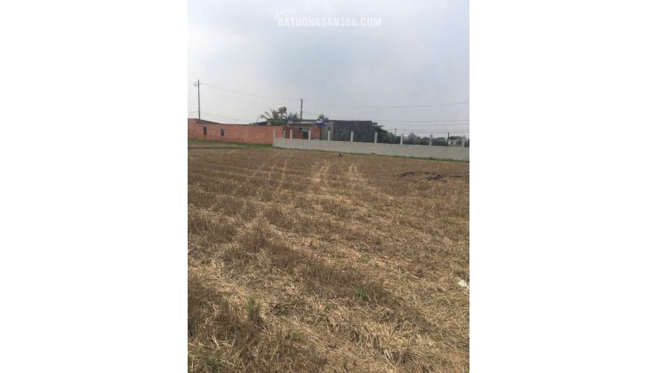 LÔ ĐẤT ĐẸP - GIÁ TỐT - CHÍNH CHỦ Cần Bán Đất Tiềm Năng Xã Đức Hoà Thượng, Đức Hòa, Long An