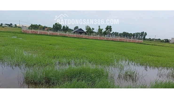 CHÍNH CHỦ BÁN ĐẤT 2 MẶT TIỀN XÃ ĐỨC LẬP TÂY NINH 1678M2 SỔ HỒNG RIÊNG CHỈ 7 TY 900 TR