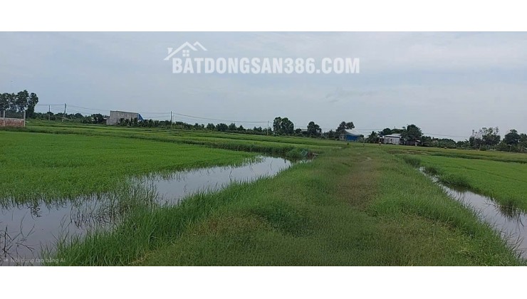 CHÍNH CHỦ BÁN ĐẤT 2 MẶT TIỀN XÃ ĐỨC LẬP TÂY NINH 1678M2 SỔ HỒNG RIÊNG CHỈ 7 TY 900 TR