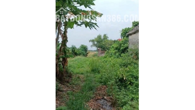 Chính chủ bán đất ở đô thị 240m2 – 2 mặt tiền tại Xã Nghĩa Đạo, Thuận Thành, Bắc Ninh – Mr.Hữu 0913093312