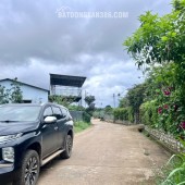 ĐẤT VEN ĐÀ LẠT NỞ HẬU – KHÔNG GIAN YÊN TĨNH PHÙ HỢP LÀM NHÀ VƯỜN NGHỈ DƯỠNG