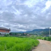 ĐẤT VEN ĐÀ LẠT NỞ HẬU – KHÔNG GIAN YÊN TĨNH PHÙ HỢP LÀM NHÀ VƯỜN NGHỈ DƯỠNG