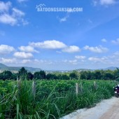 Bán Đất Nam Ban 502m² Thổ Cư 200m² – Sở Hữu View Toàn Cảnh Nam Ban, Đón Trọn Giá Trị Sống Ven Đà Lạt