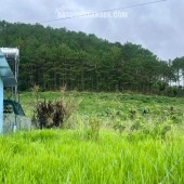 ĐẤT NAM BAN NGOẠI Ô ĐÀ LẠT – THỔ CƯ CAO – CẠNH ĐỒI THÔNG PHÙ HỢP NHÀ VƯỜN NGHỈ DƯỠNG