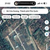 ĐẦU TƯ LÀ SINH LỜI - Chính Chủ Cần Bán Đất Xã Cửa Dương, Phú Quốc, Kiên Giang