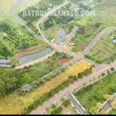 BÁN ĐẤT NÊN BIỆT THỰ NGHĨ DƯỠNG SUỐI THÔNG GARDEN - CHỈ 1.350 TỈ