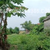 Chính chủ bán đất ở đô thị 240m2 – 2 mặt tiền tại Xã Nghĩa Đạo, Thuận Thành, Bắc Ninh – Mr.Hữu 0913093312